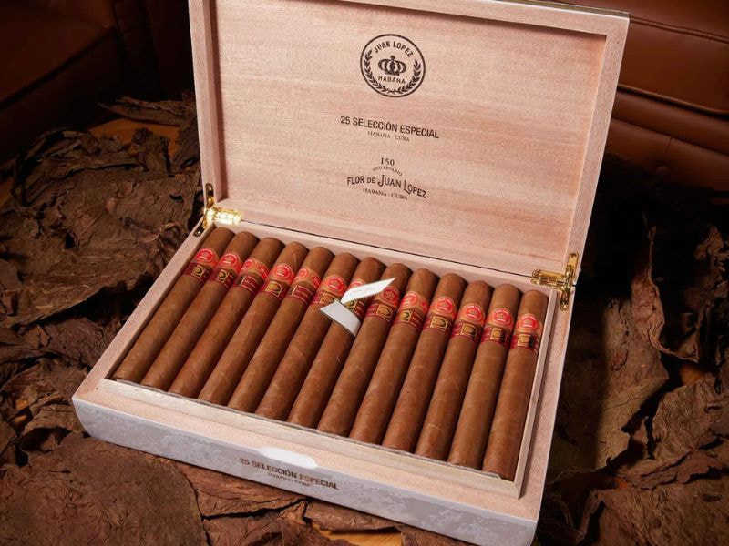 Hình thức tối giản, bắt mắt